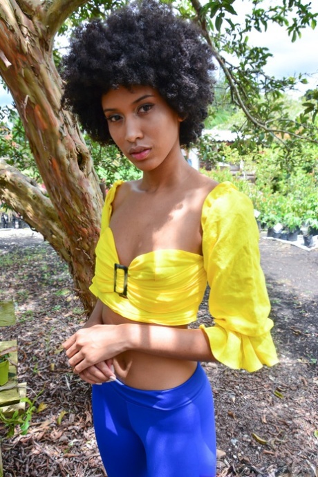 curly ebony art porn image