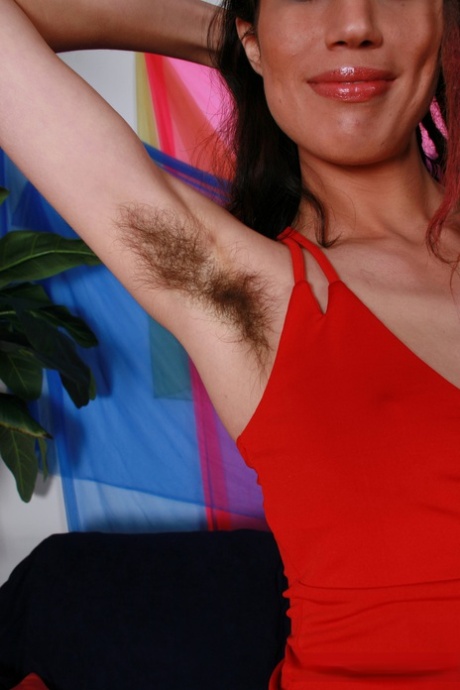 Kitty Bush free model archive