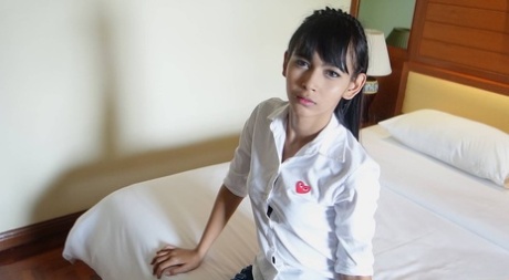 微型人妖 美麗的裸體 圖片