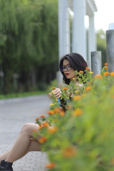 asiatisk offentlig hd art gallerier