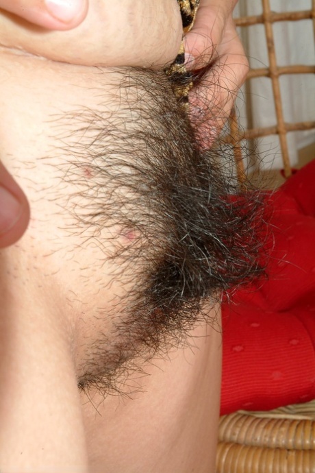 peludo natural arte pornográfica coleção