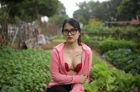 asiatico allaperto migliore di alta qualità foto
