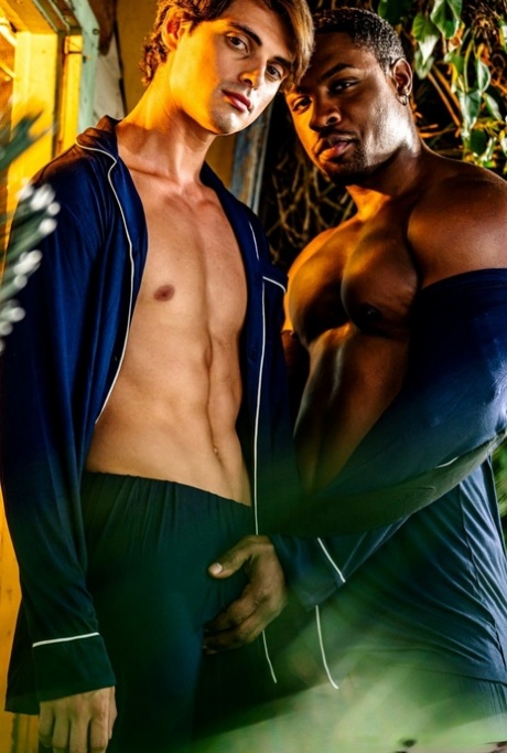 BBC homoseksuel gratis porno kollektion