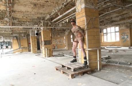 Amateure Homosexuell exklusive erotische bilder