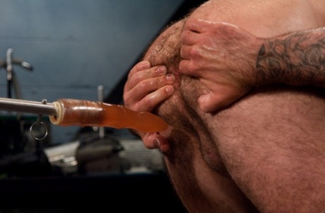 gilipollas gay bonito pornografico fotos