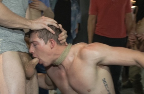 gola profonda gay migliore gratis immagine