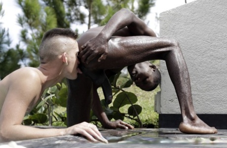 BBC homoseksuel varmt xxx gallerier