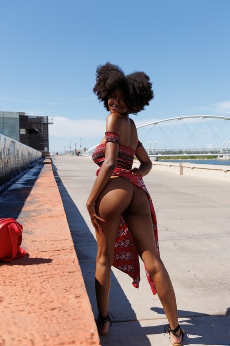 south african top gallery