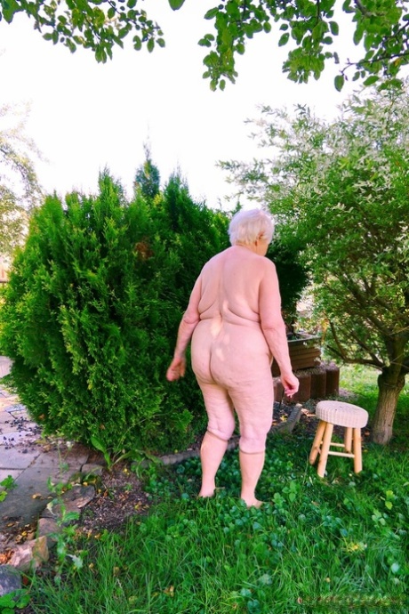 abuela arrugada arte exclusivo recopilación