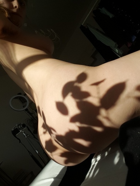 selfie curvado sexy legal coleção