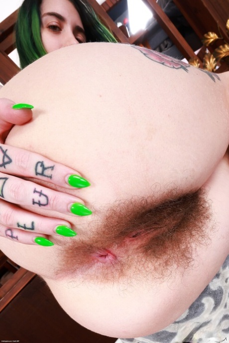 hairy pawg hd archive