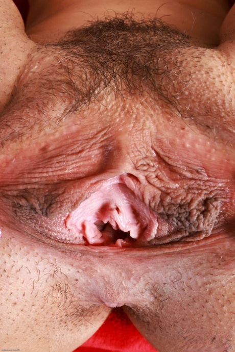 behåret vagina perfekt voksen billeder