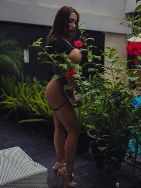 peitos asiáticos hd quente imagens