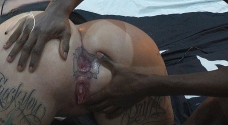 arbusto sexy melhor fotos