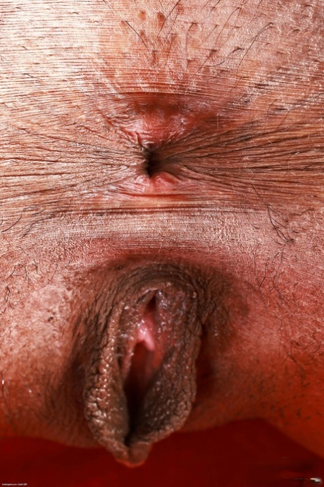 black pussy lips porn photos