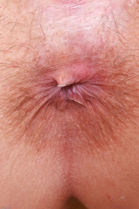asshole close up perfect pictures