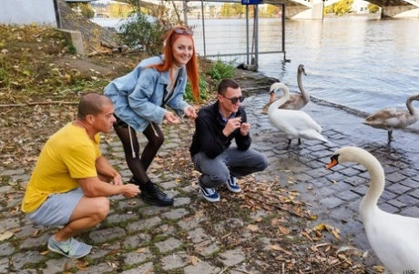 zrzka pihy umění zdarma img