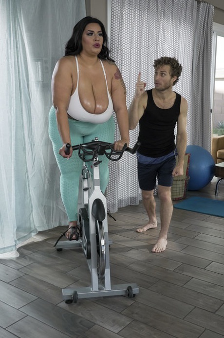 vit stor vacker het bild